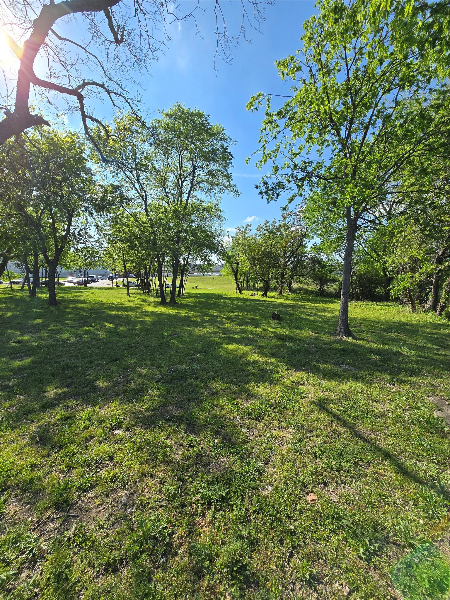 Land in Dallas 4