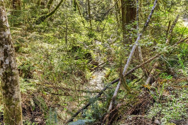 3231 E State Route 302, House other with 4 bedrooms, 3 bathrooms and 5 parking in Belfair WA | Image 37