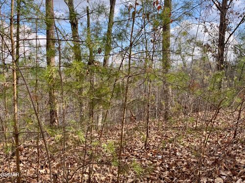 106 & 107 Dollys Dr, Sevierville, TN, 37876 | Card Image