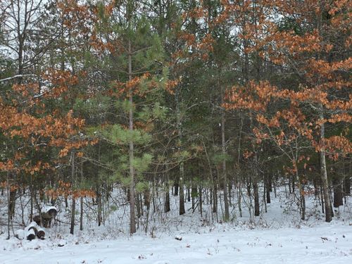 Lots 8&9 Ralph Ln, Tomahawk, WI, 54487 | Card Image