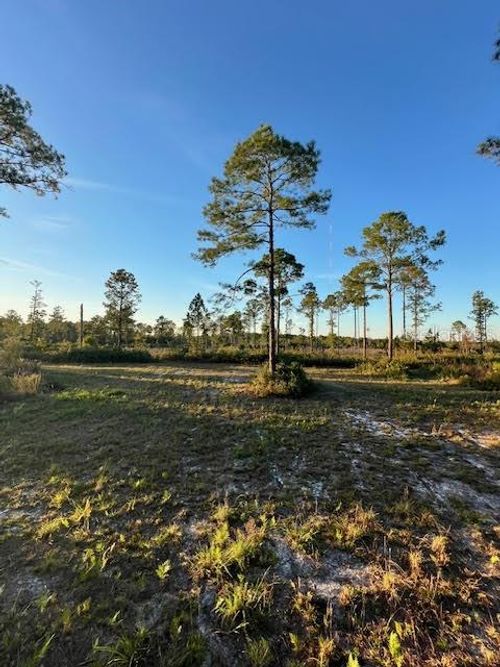 0 Seagrape Ave, EUSTIS, FL, 32736 | Card Image