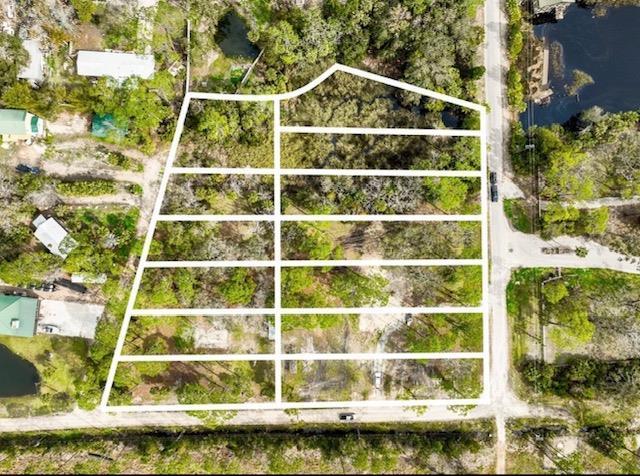Land in Steinhatchee 5