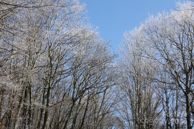 High Elevation | Image 7