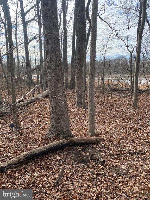 Residential in MOUNT LAUREL 3