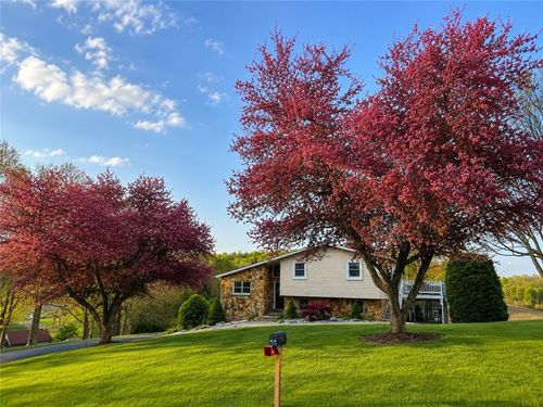 89 Fir St, Indiana, PA, 15701-8467 | Card Image