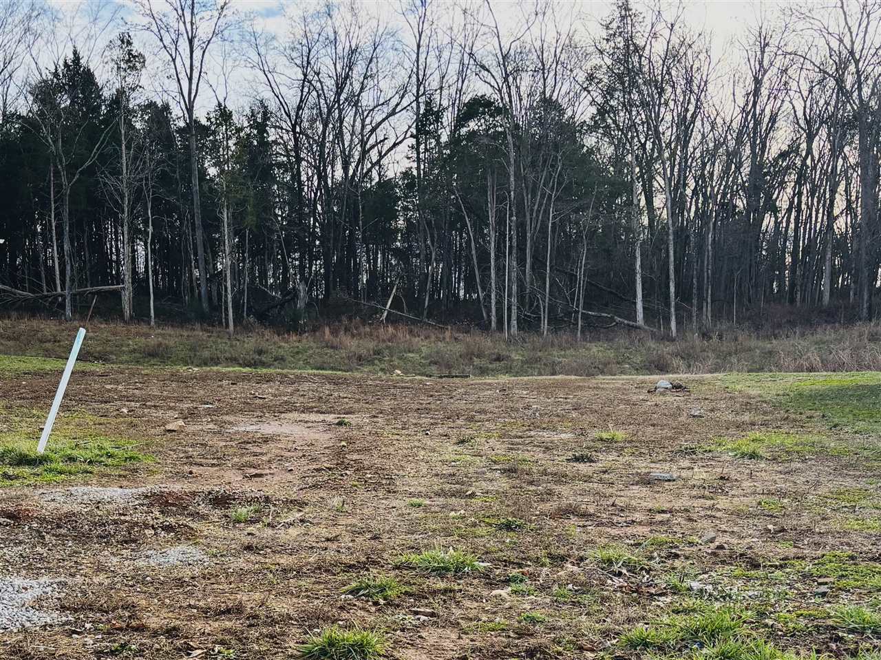 Land in Bowling Green