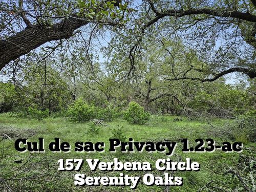 157 Verbena Cir, Spring Branch, TX, 78070-2316 | Card Image