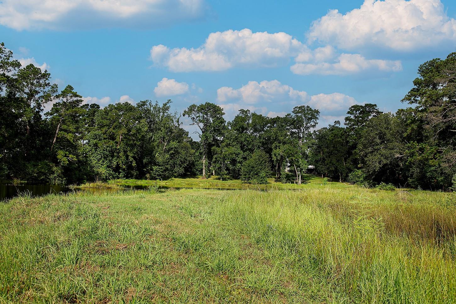 Land in Spring 2