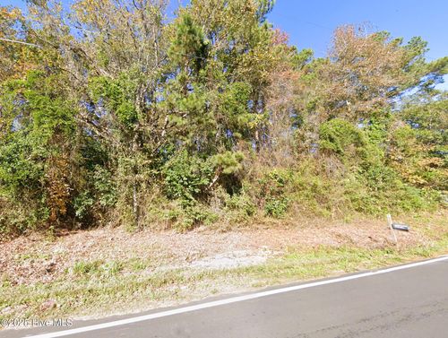 00 Pine St, Cerro Gordo, NC, 28430 | Card Image
