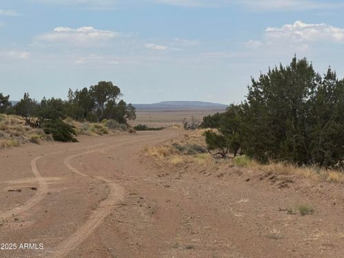 99-99 Carrizo Ranch --, St Johns, AZ, 85936 | Card Image