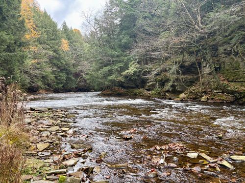 0 Chasm Rd, Chateaugay, NY, 12920 | Card Image