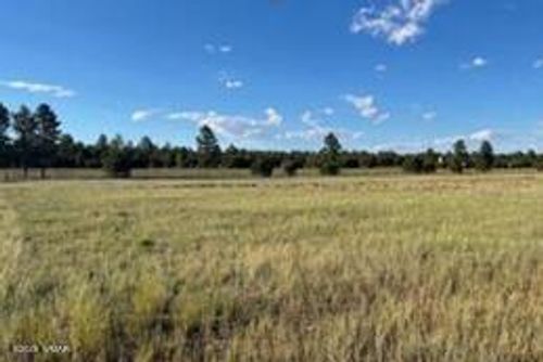 TBD Quarter Horse Trl, Overgaard, AZ, 85933 | Card Image