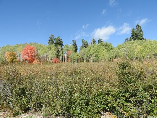 14-14 E Main Road Dr, Fairview, UT, 84629 | Card Image