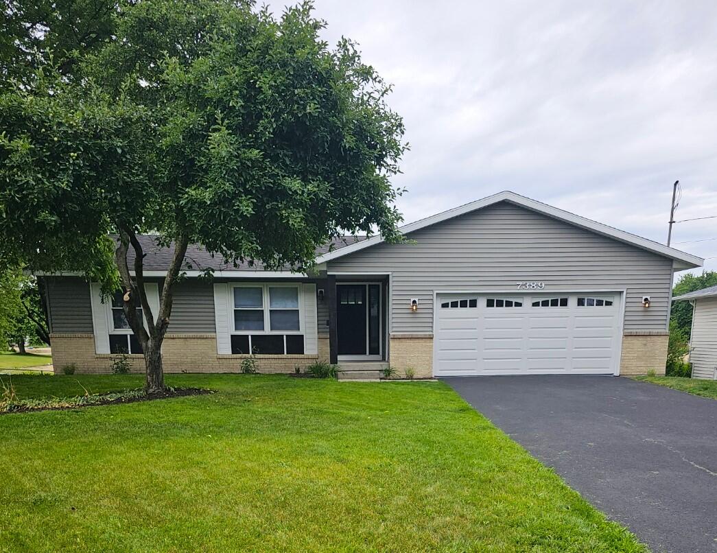 Pete Ave, Jenison, MI 49428