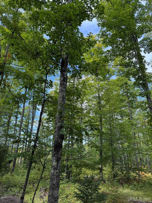 TBD Kiviranta Road, Nisula, MI, 49952 | Card Image