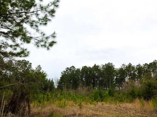 T-12 County Road 4415, Spurger, TX, 77660 | Card Image