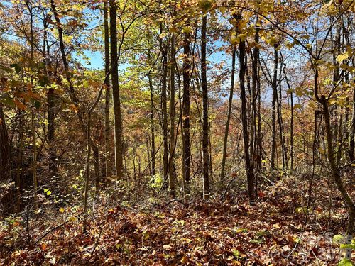 30-0 Owle View Rd, Bryson City, NC, 28713 | Card Image