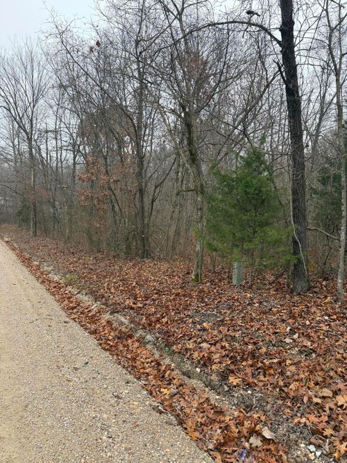 000 Pecan Dr, Grovespring, MO, 65662 | Card Image