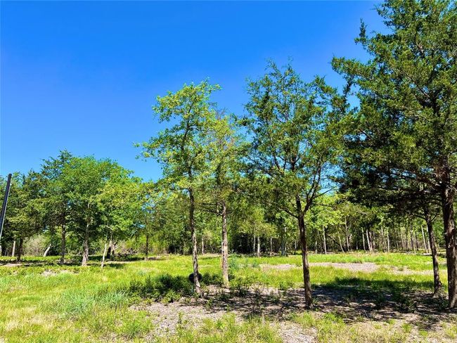 357 Oak Holw, Home with 0 bedrooms, 0 bathrooms and null parking in Caldwell TX | Image 8