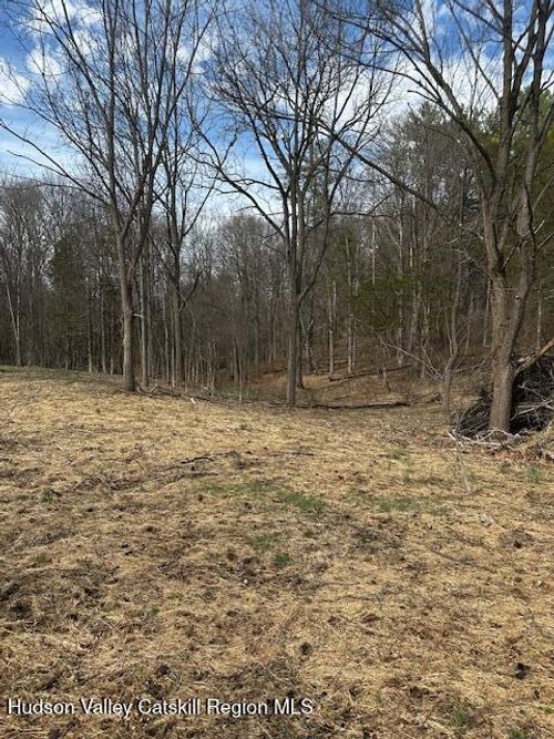 Lot 3 High Falls Road Ext, Catskill, NY, 12414-5607 | Card Image
