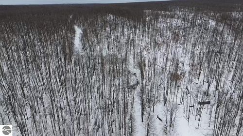 0 Dobleski Road, Elmira, MI, 49730 | Card Image