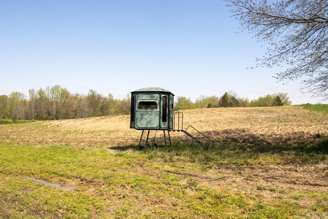 9 County Road 422, Home with 0 bedrooms, 0 bathrooms and null parking in Rector AR | Image 26
