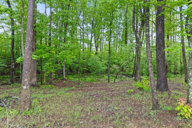 7258 Grey Hawk Trl, House other with 4 bedrooms, 3 bathrooms and null parking in Signal Mountain TN | Image 44