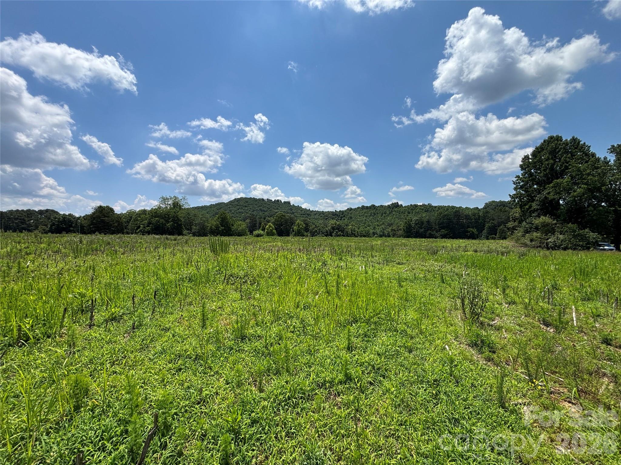 Land in Statesville 5
