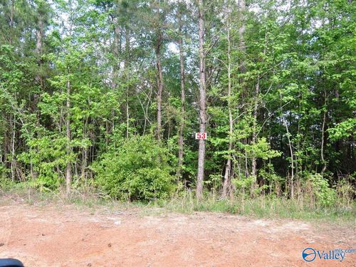 Lot 53 Oak Leaf Court, Jasper, AL, 35504 | Card Image