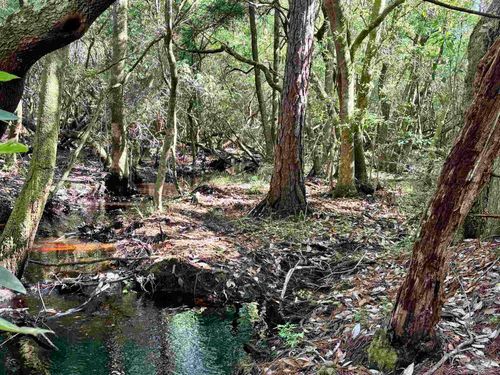 4753 Henry Wilson Creek Dr, Milton, FL, 32583-8463 | Card Image