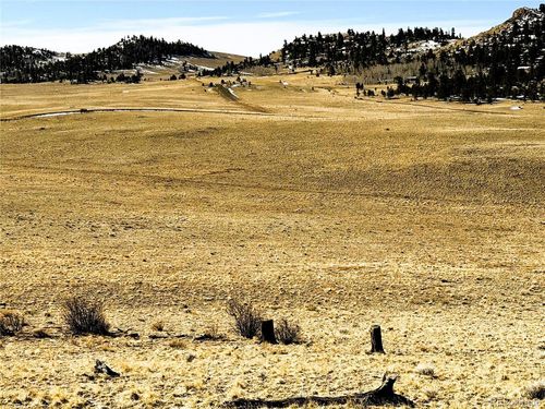 492 Chickamauga Trl, Hartsel, CO, 80449 | Card Image