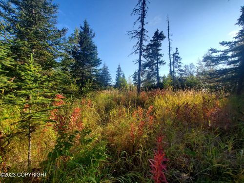 64195 Bolotna Rd, Nikolaevsk, AK, 99556 | Card Image