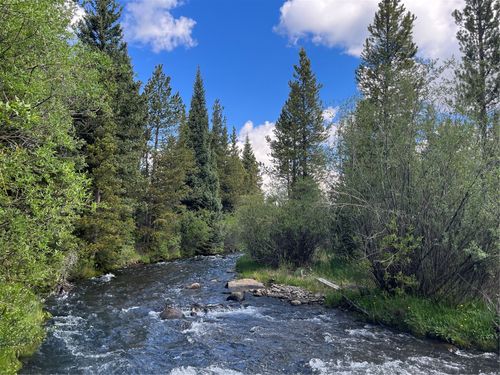 TBD Cr-19, Alma, CO, 80420 | Card Image