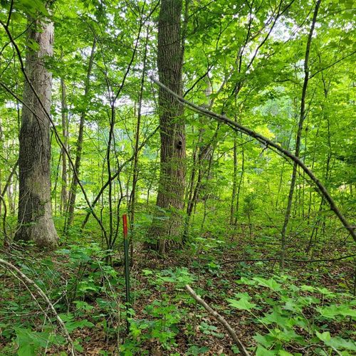 30-30 Lake Pointe Ct, Pamplin, VA, 23958-1629 | Card Image