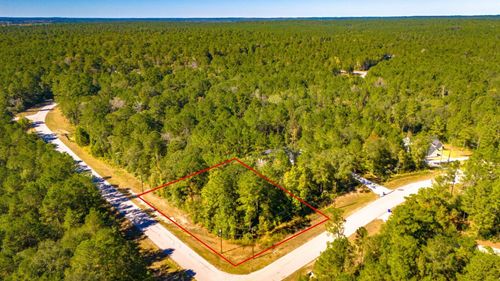 TBD Grey Feather Rd, Huntsville, TX, 77320 | Card Image