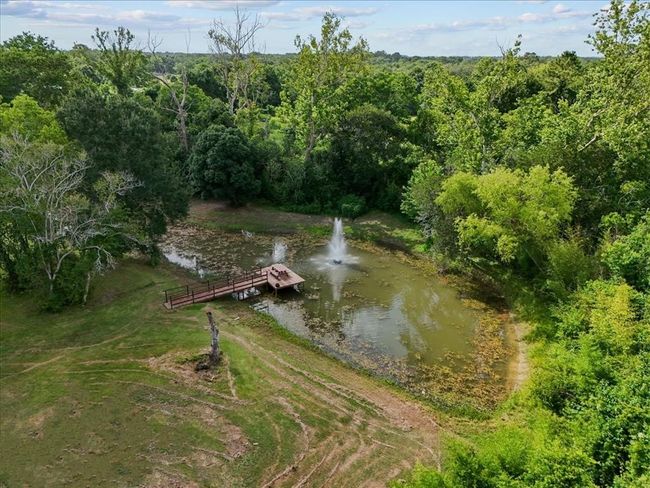 Private stocked pond with fountain feature and wood dock surrounded by mature trees. | Image 8