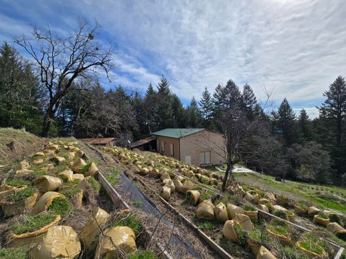 495 Wool Mountain Rd, Zenia, CA, 95595 | Card Image