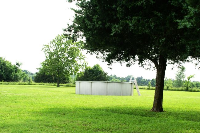 View of grassy yard | Image 5