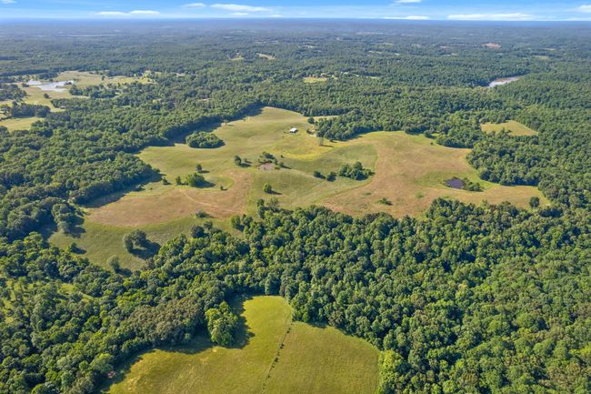 0 Happy Hills Acre Rd, Home with 0 bedrooms, 0 bathrooms and null parking in Woodlawn TN | Image 19