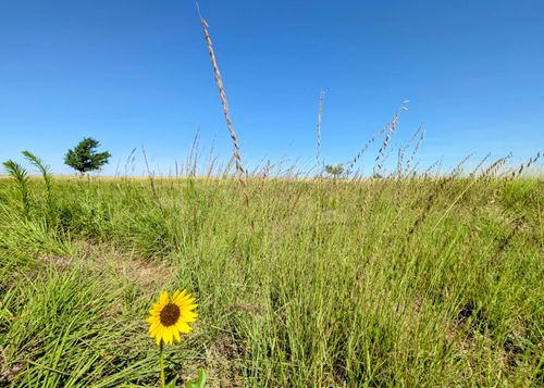 0 S County Rd, Sudan, TX, 79371 | Card Image