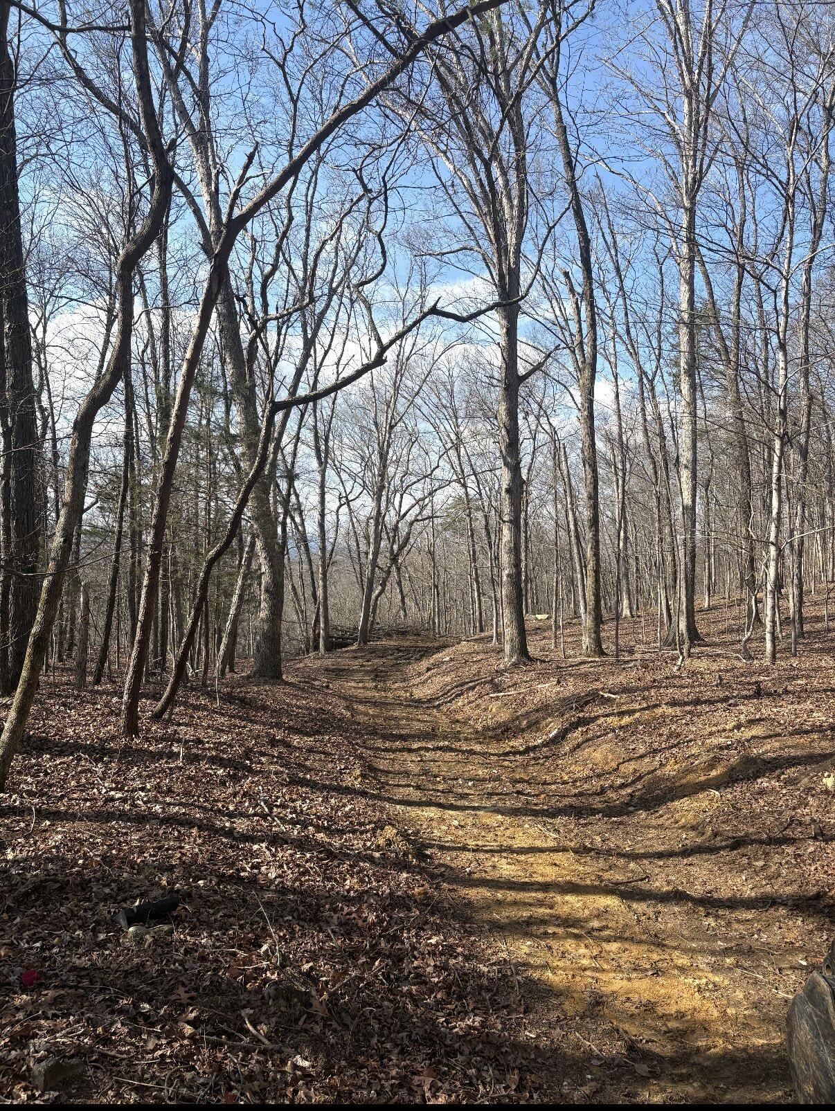 Land in LaFayette 2