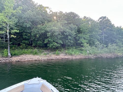 Lot 43 Cobalt Bay Dr, Shirley, AR, 72153 | Card Image