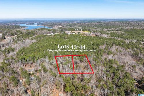 43-andamp-44-Lot 43 &amp; 44 Beach Island Trace, DADEVILLE, AL, 36853 | Card Image