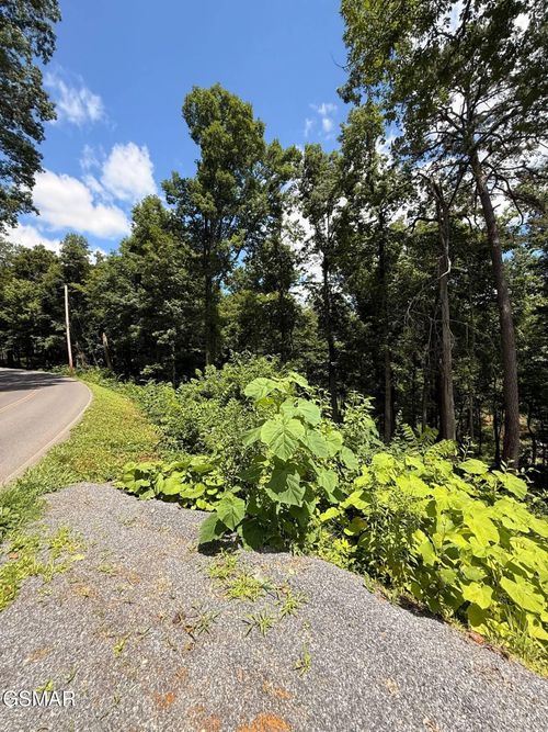 Lot 11 Cherokee Dr, Dandridge, TN, 37725 | Card Image