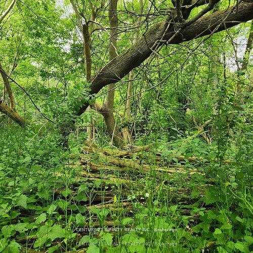 0-B Howard (Northwest Lot) Street, Port Hope, ON, L1A0B2 | Card Image