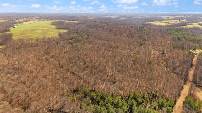 Lot 4 Oklahoma Rd, Home with 0 bedrooms, 0 bathrooms and null parking in Bee Spring KY | Image 4