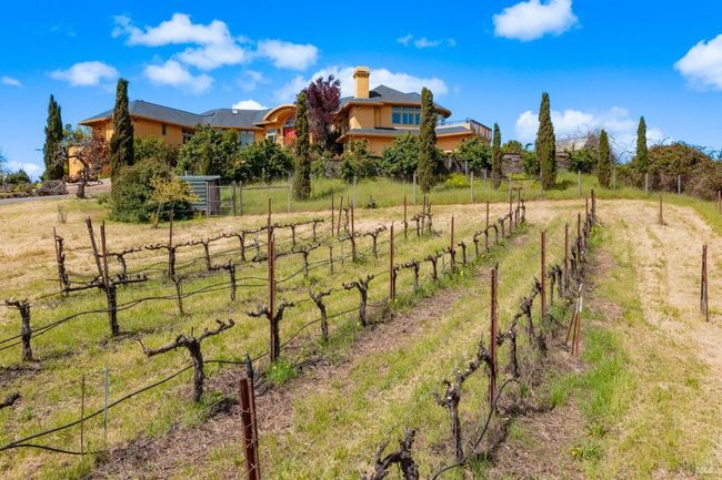 2614 Scotts Right Of Way, House other with 4 bedrooms, 4 bathrooms and 10 parking in Sebastopol CA | Image 67