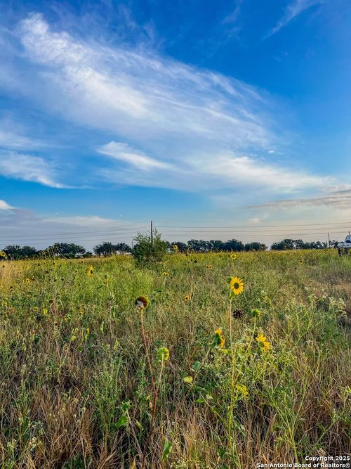 2541 County Road 512, D Hanis, TX, 78850-2216 | Card Image