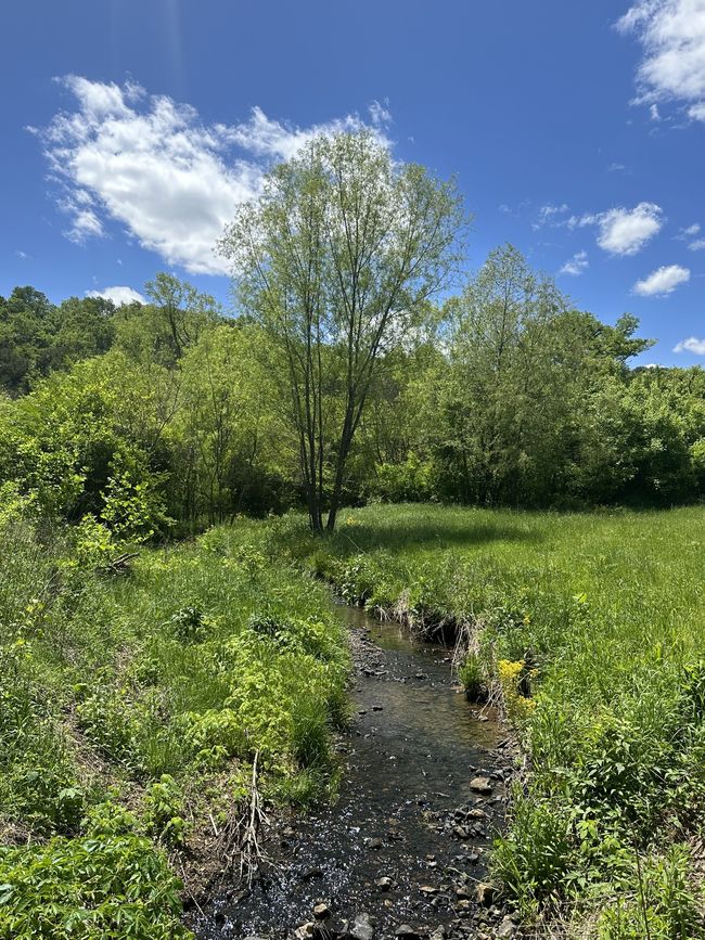 66 Thompson Hollow Rd, Home with 0 bedrooms, 0 bathrooms and null parking in Taft TN | Image 4