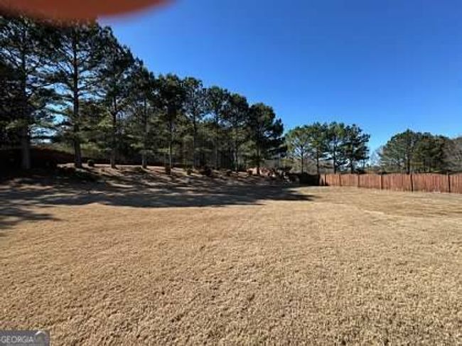 132 Westmont Way, House other with 4 bedrooms, 4 bathrooms and null parking in Tyrone GA | Image 42